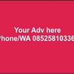 f081a8ab-563f-49f8-8ac9-d5c7109920bc
