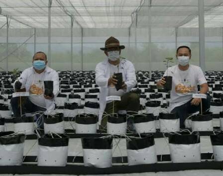 Ridwan Kamil Siapkan Lahan 4 Ribu Hektar Bagi Petani Milenial