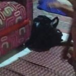 WhatsApp-Image-2021-11-02-at-12.34.20