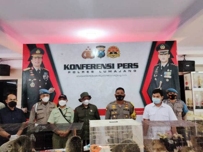 11 Satwa Dilindungi Berhasil Diamankan Polres Lumajang