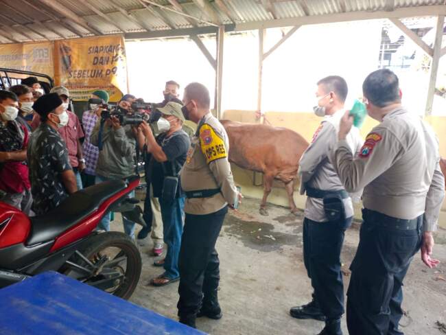 Aksi Heroik Anggota Polsek Ranuyoso Hadang Maling Sapi