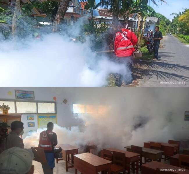Seorang Warga Meninggal Dunia Akibat DBD, Satu Dusun Di Fogging