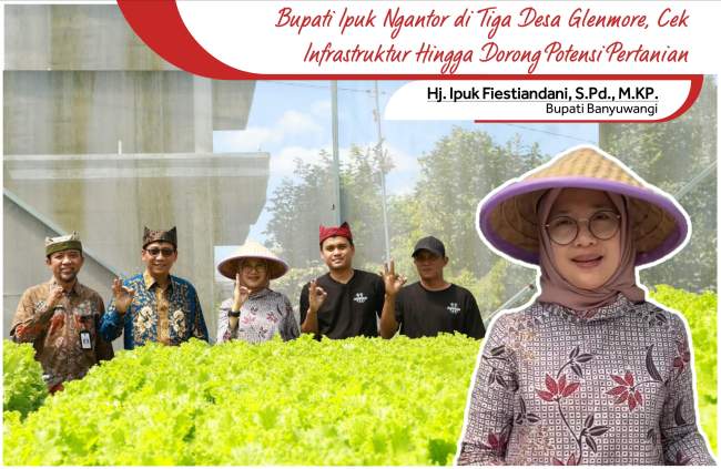 Ngantor di Tiga Desa Kecamatan Glenmore, Bupati Ipuk Cek Infrastruktur hingga Maksimalkan Potensi Pertanian