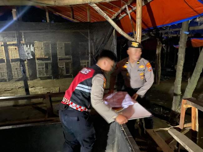 Operasi Cipta Kondisi, Polisi Tertibkan Arena Judi Sabung Ayam di Plemahan