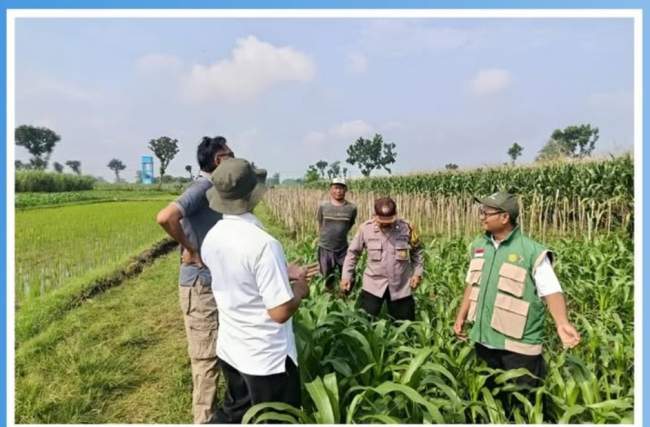 Mencegah Gagal Panen Sejak Dini, Polisi Turun Berdialog dengan Petani