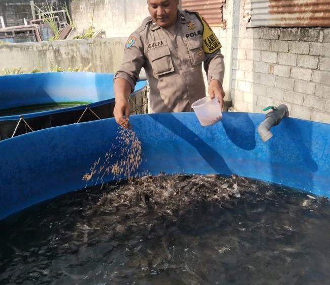 Dukung Ketahanan Pangan, SPPG 2 Polres Kediri Plosoklaten Kembangkan Budidaya Lele dan Sayuran