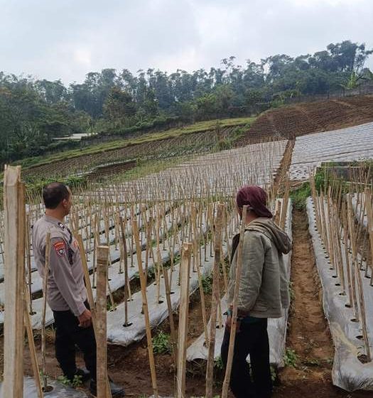 Bhabinkamtibmas Desa Gendro Tinjau Tanaman Cabai, Dukung Program Pekarangan Pangan Bergizi