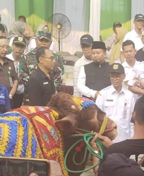 Rangkaian Festival Muharam Dinas Peternakan dan Perikanan Gelar Kontes Tenak